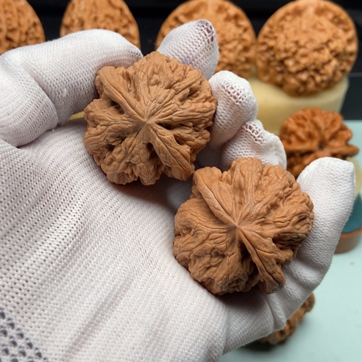 平谷粗筋全40尺……6