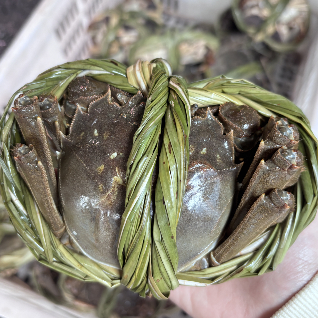 【活蟹】江苏鲜活大闸蟹2.8两起 九C蟹  8/10只装 全母