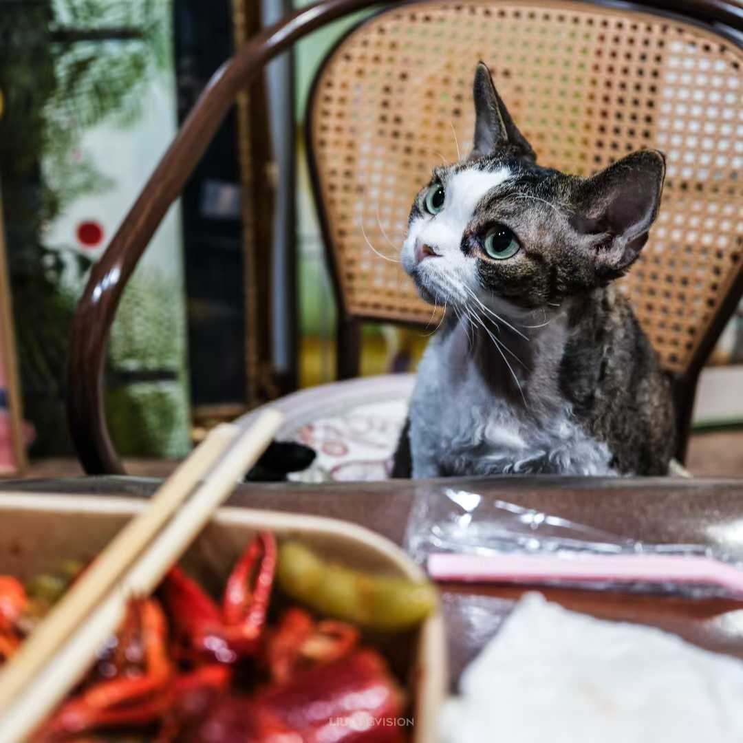 Bronze Lucia设计师款帽子