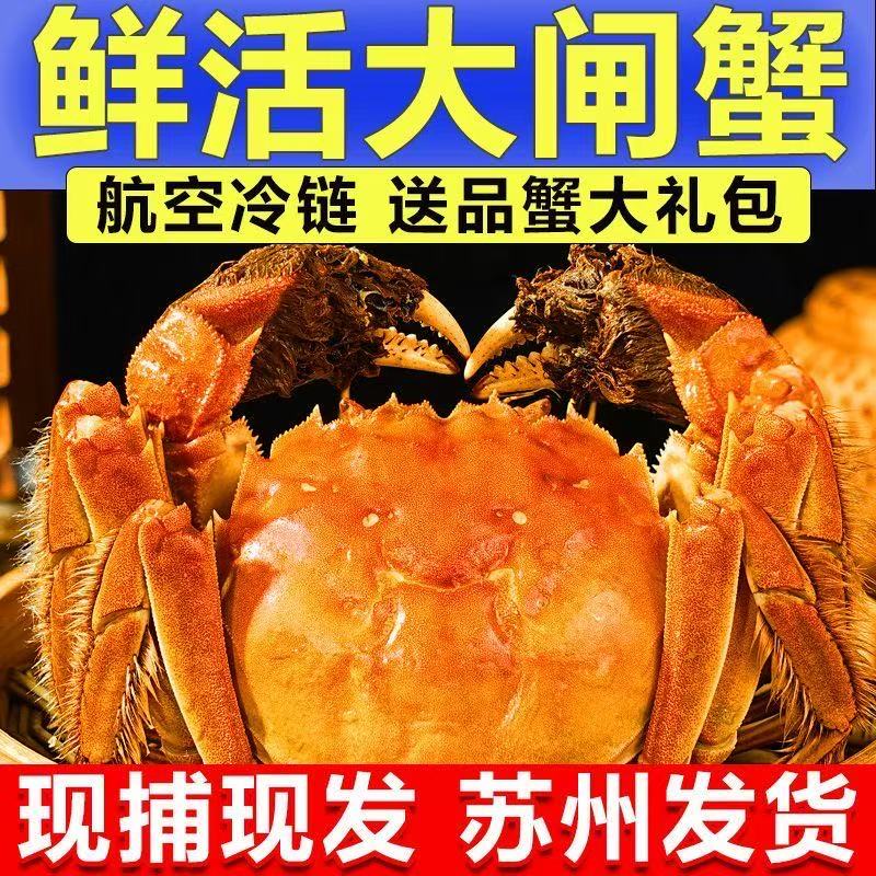 【活蟹】江苏精品鲜活大闸蟹 全母蟹3.0-2.7两 到手10只 包邮到家