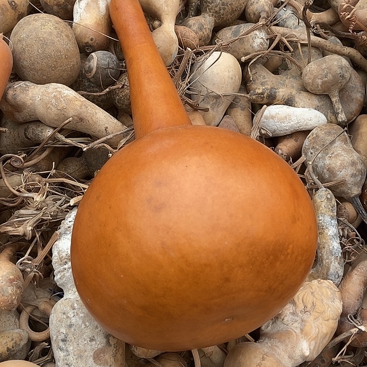 h***n直播间里的拍品链接