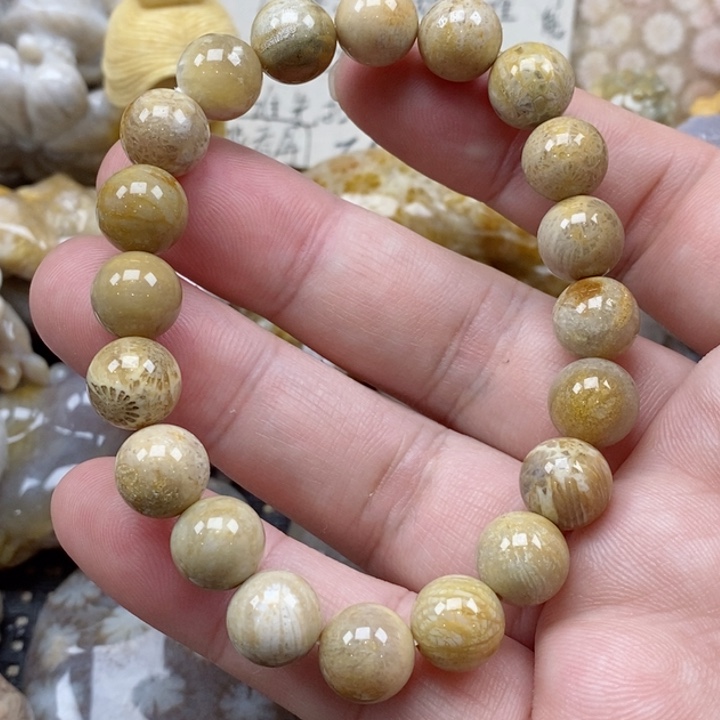 颈饰未镶嵌硅化珊瑚（珊瑚玉）