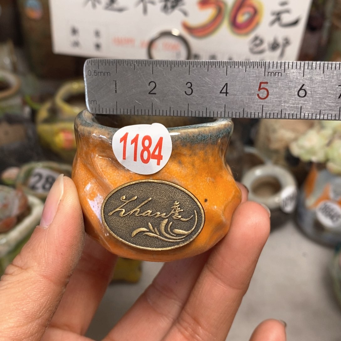 花盆拍5送一个小礼物