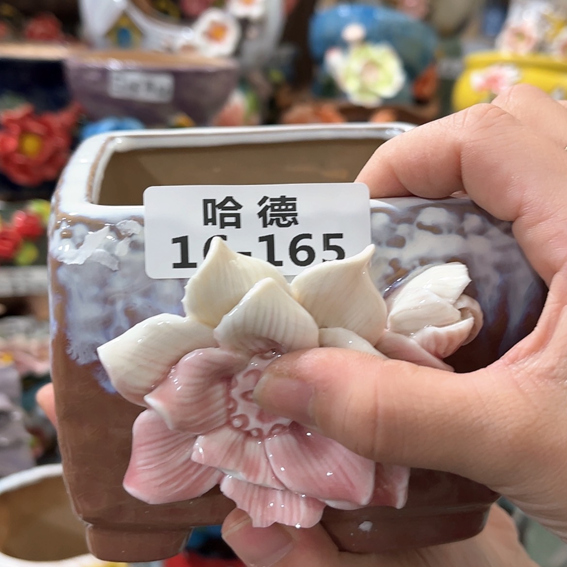【闪购商品】红陶16165瑕疵