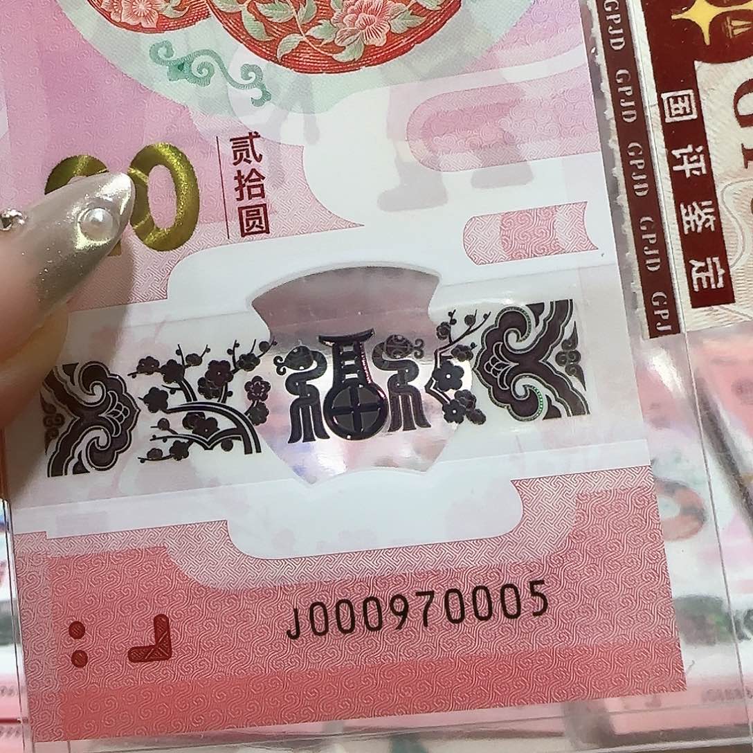 纸000970005。。。。。6龙珠