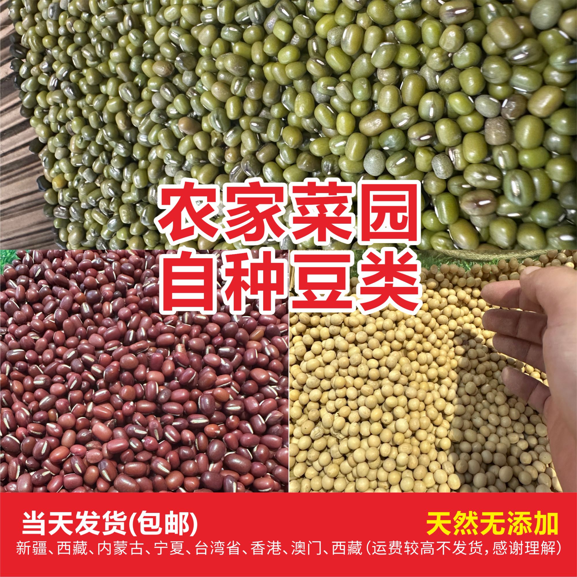常德农家自种绿豆 营养丰富产地直发