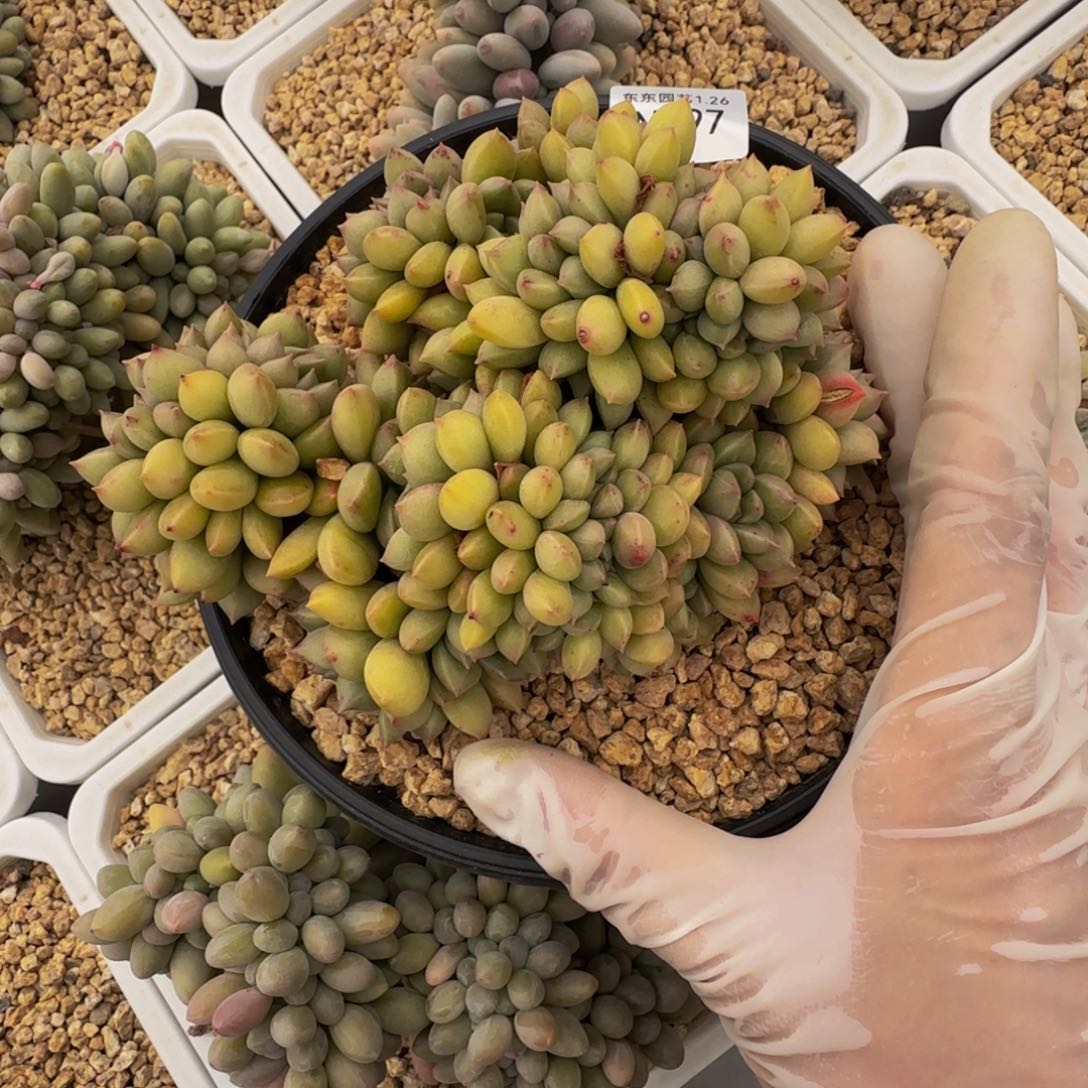 n n n n n n n n 197