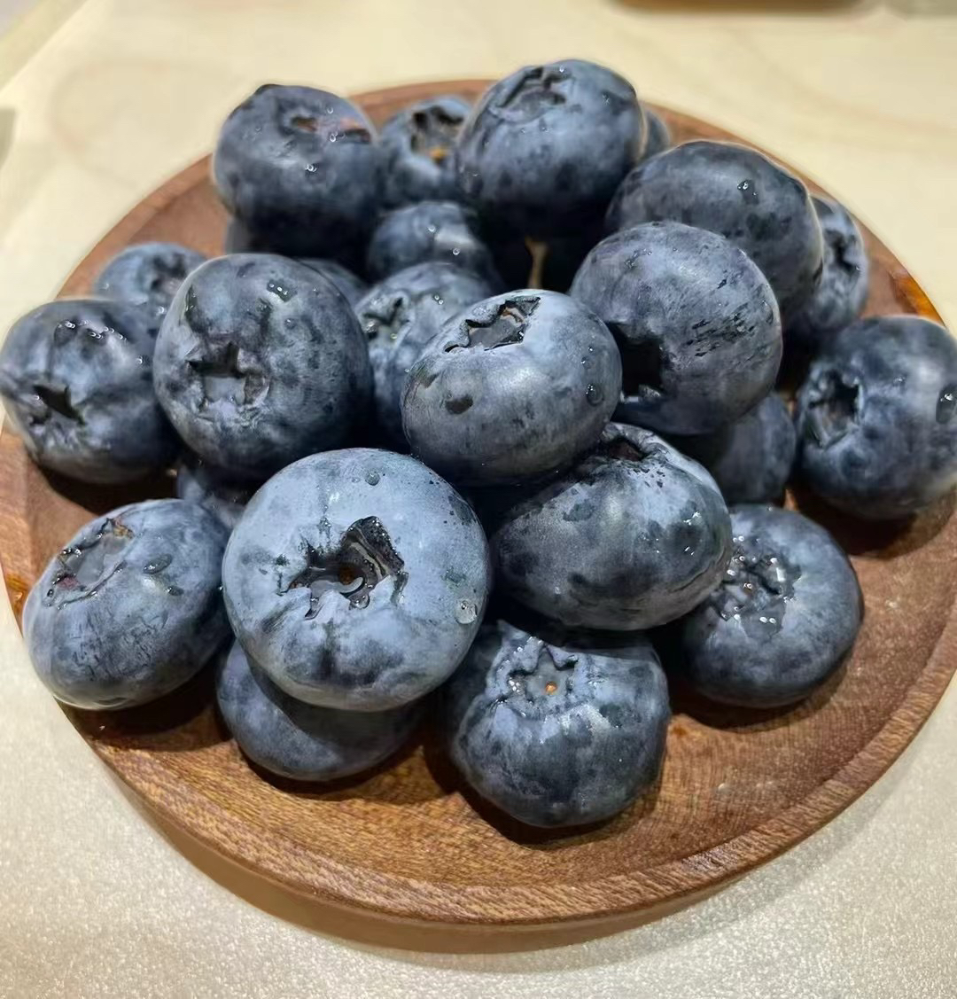 丹东L25花香蓝莓