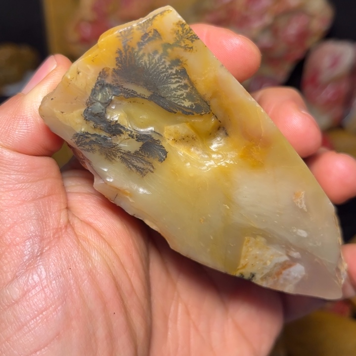 昌化石国石昌化石