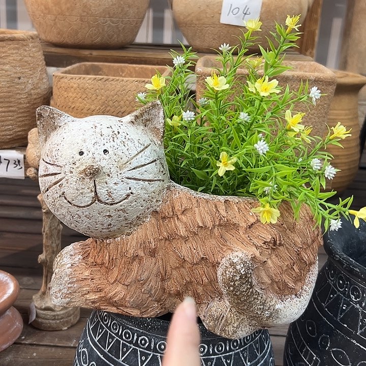 555666666666666666666