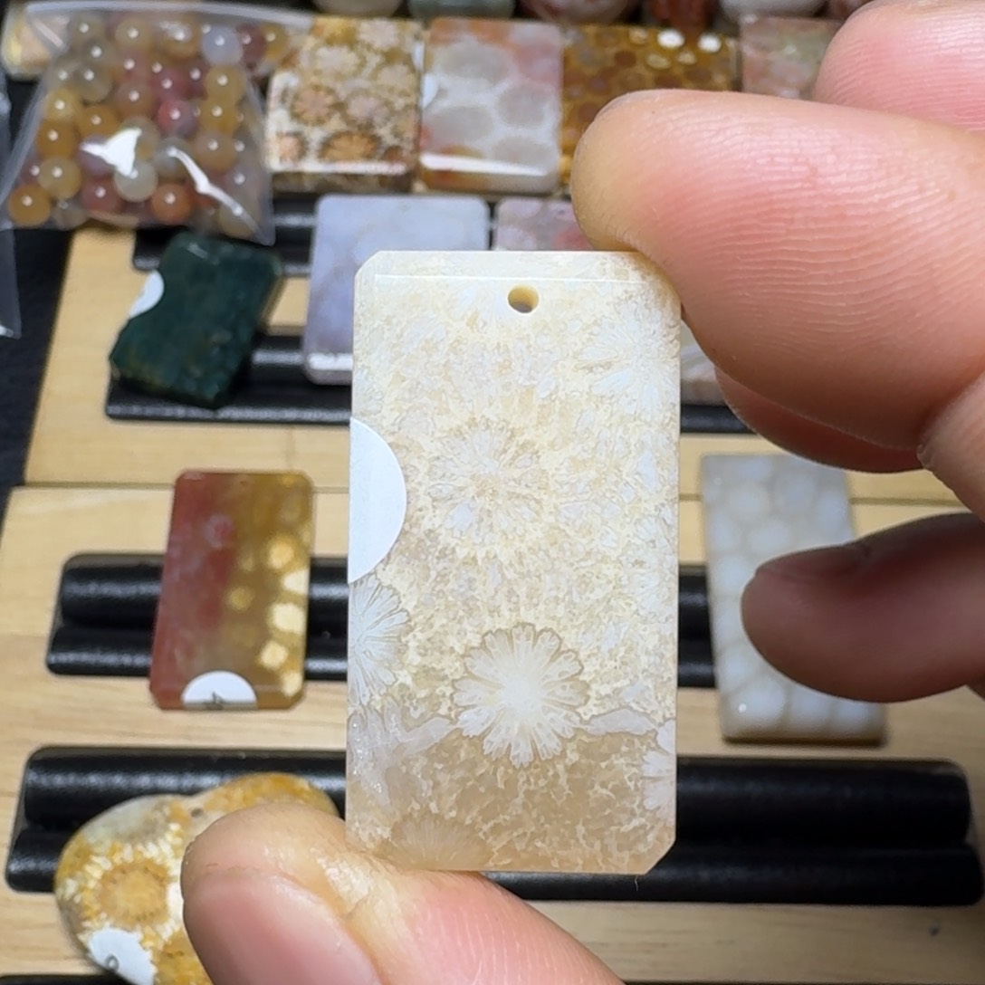 硅化珊瑚（珊瑚玉）纯天然色有机玉石未镶嵌