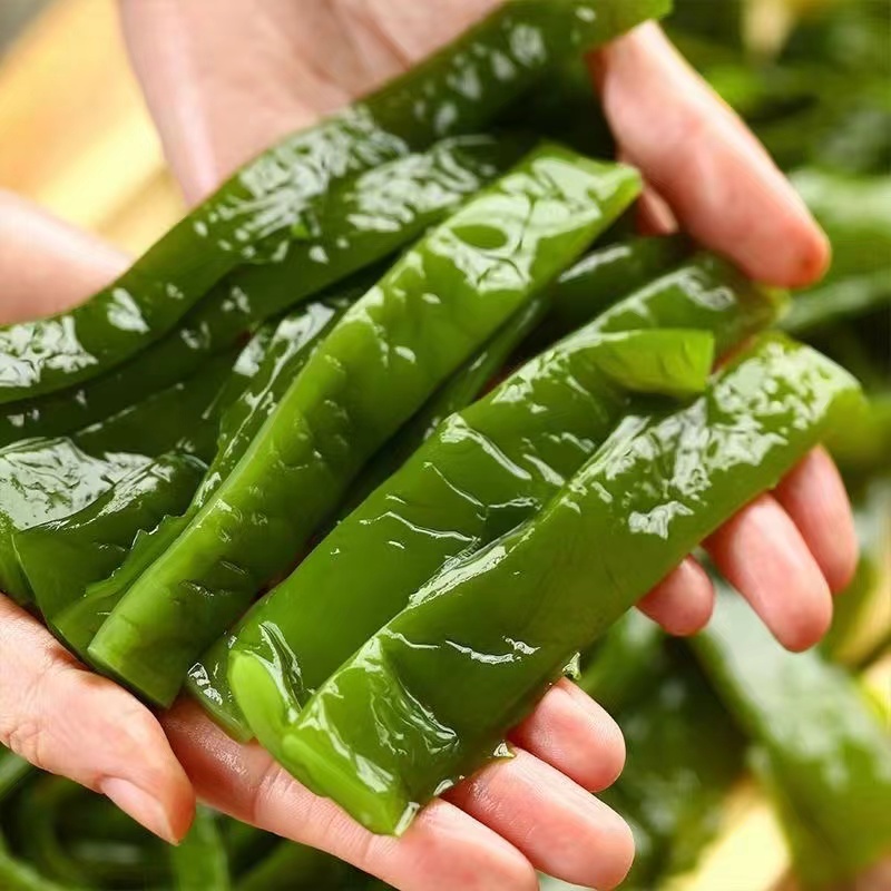 大连盐渍海白菜裙带菜梗段净重4.6斤