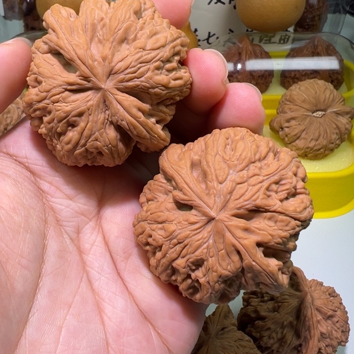 文玩核桃把件47大粗筋