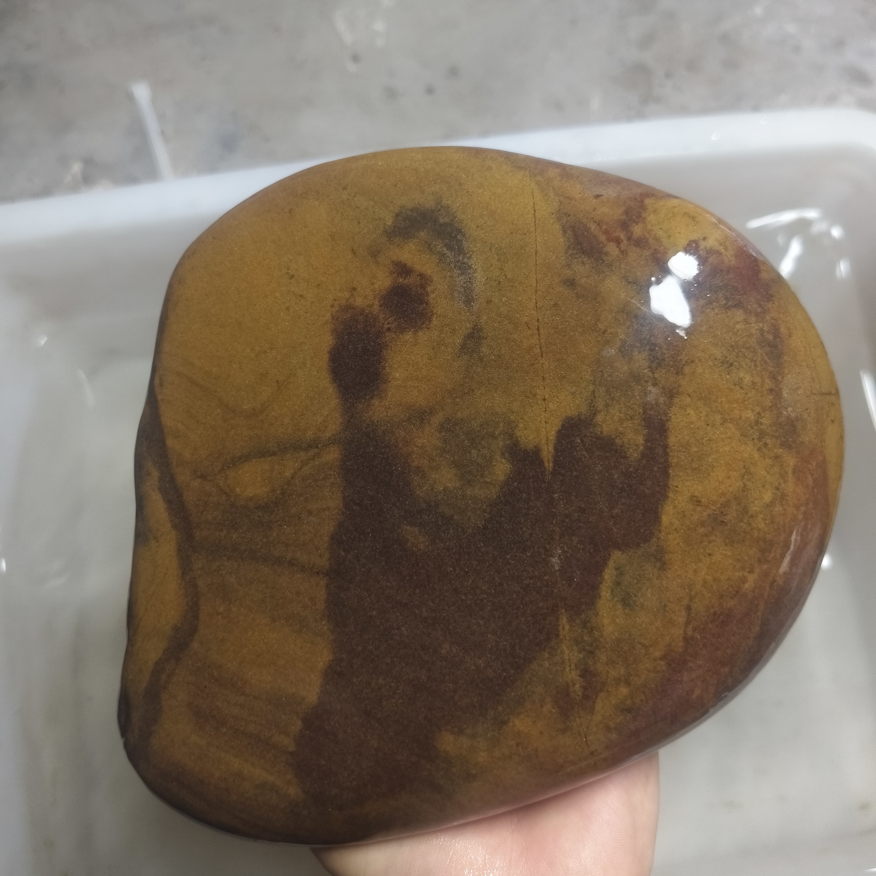 精美长江石老黄皮