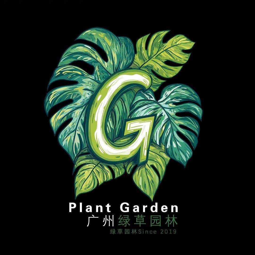 水晶花烛 随机