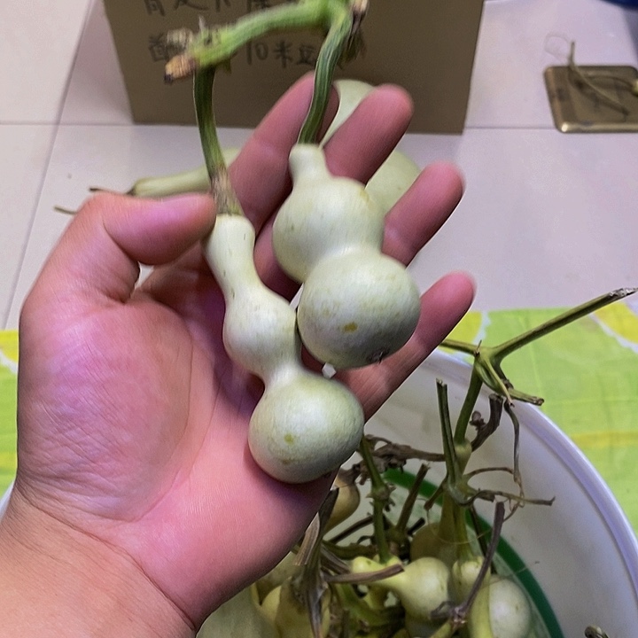 一***?长嘴哈哈哈哈哈哈哈哈哈好