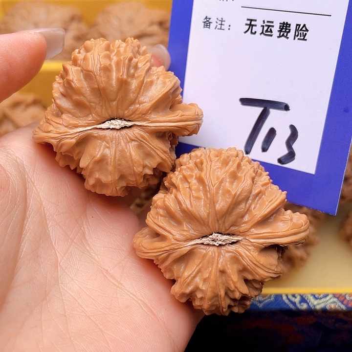 把件文玩核桃张*文玩核桃白狮子13