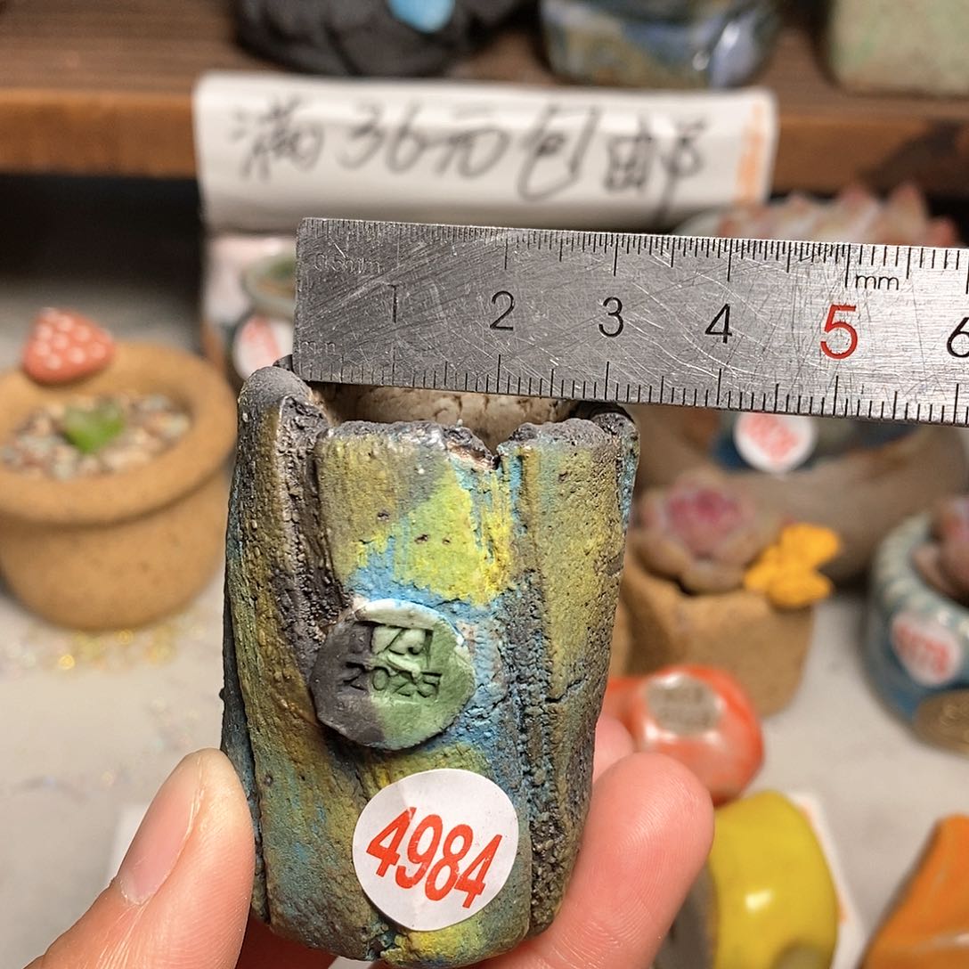 红陶拍5送一个小