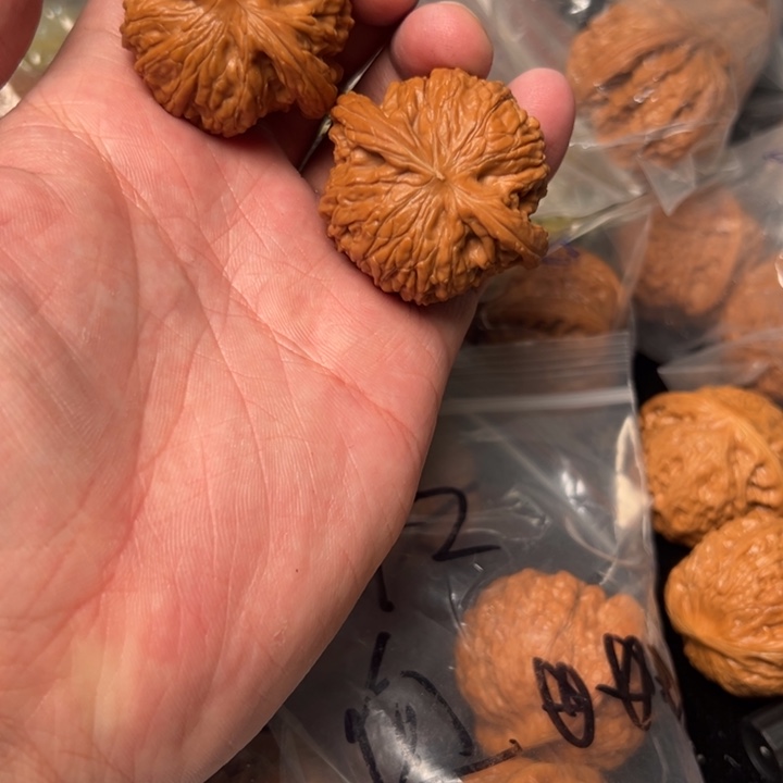 核桃41磨盘，已打底，全品