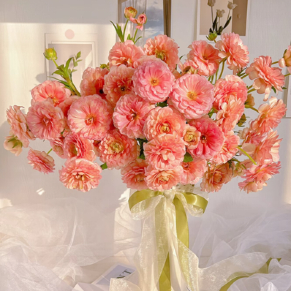 加购【鲑鱼 蝴蝶洋牡丹】满足包邮条件再拍加购 单拍需补运费