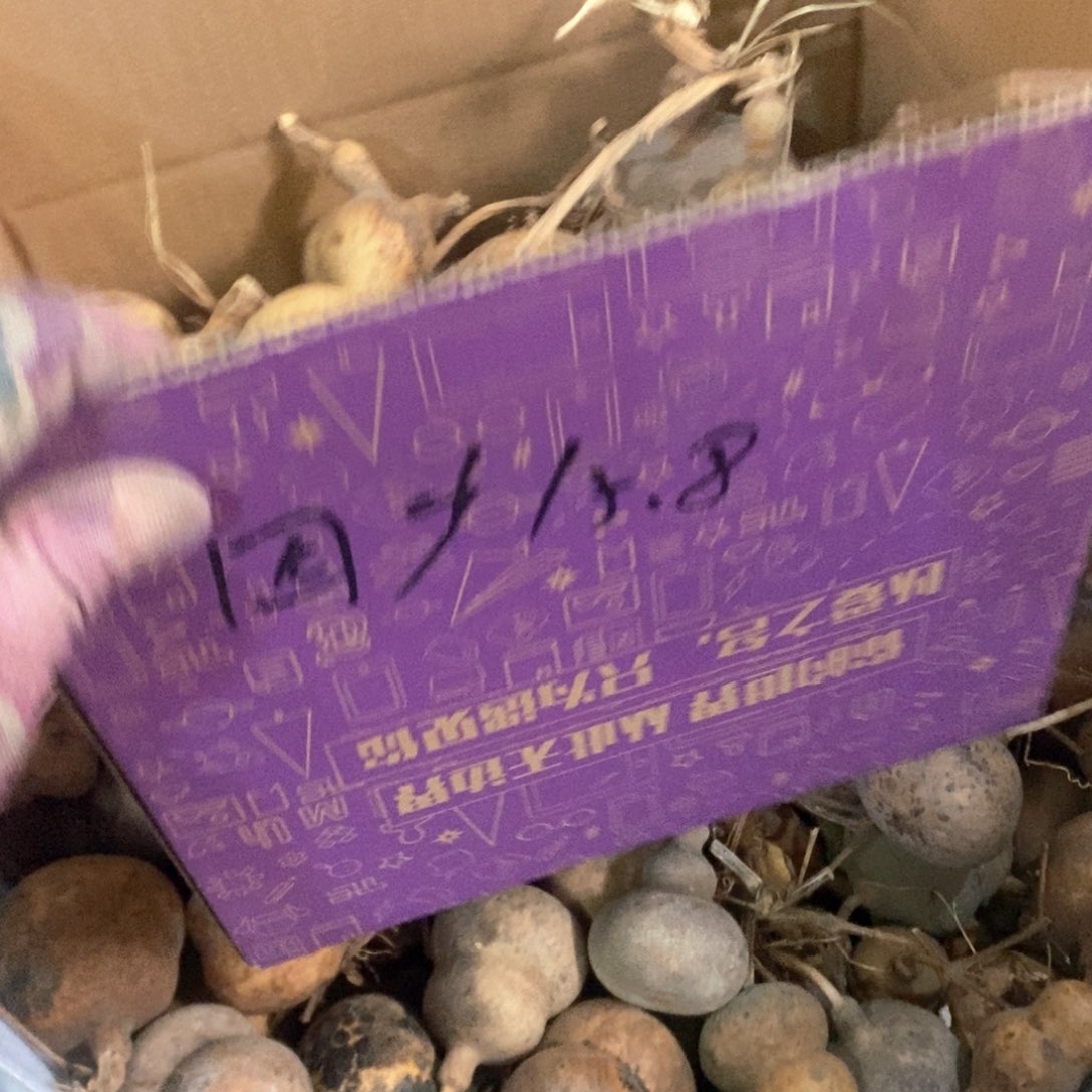 四*文玩葫芦花皮葫芦