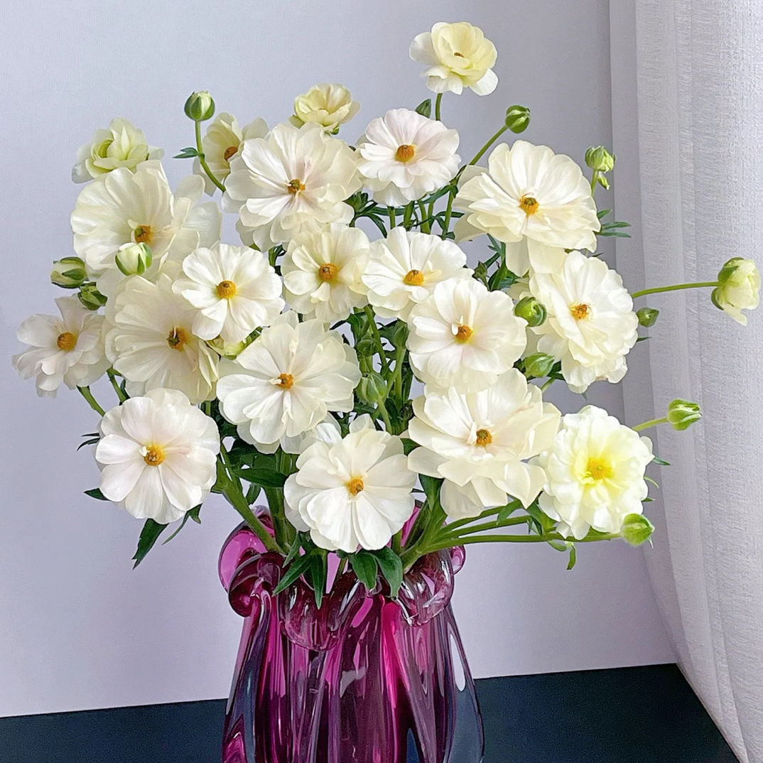 【蝴蝶洋牡丹】油画 拍满三单顺丰空运包邮鲜切花5支家居插花