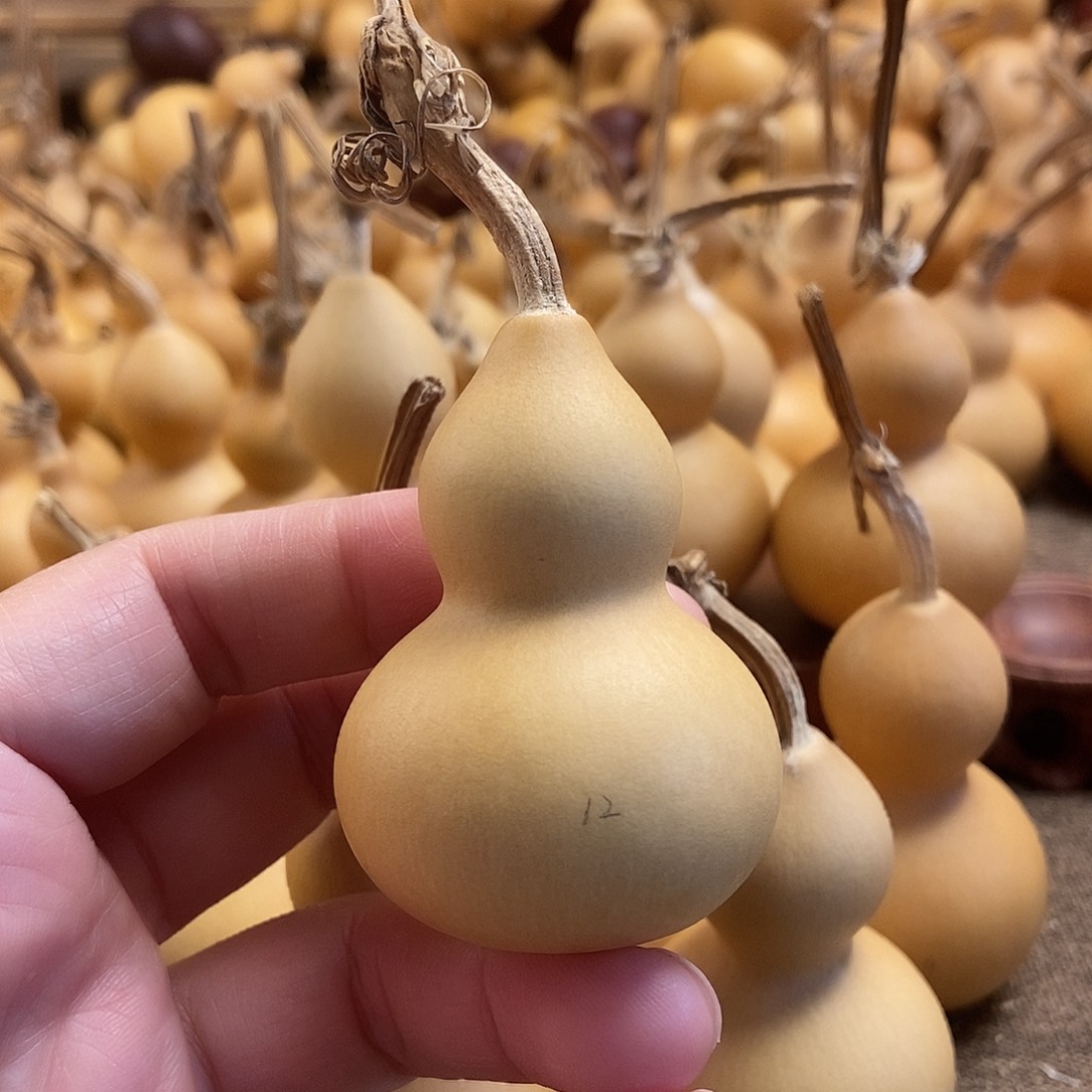 文玩葫芦 完美主义者 慎拍12
