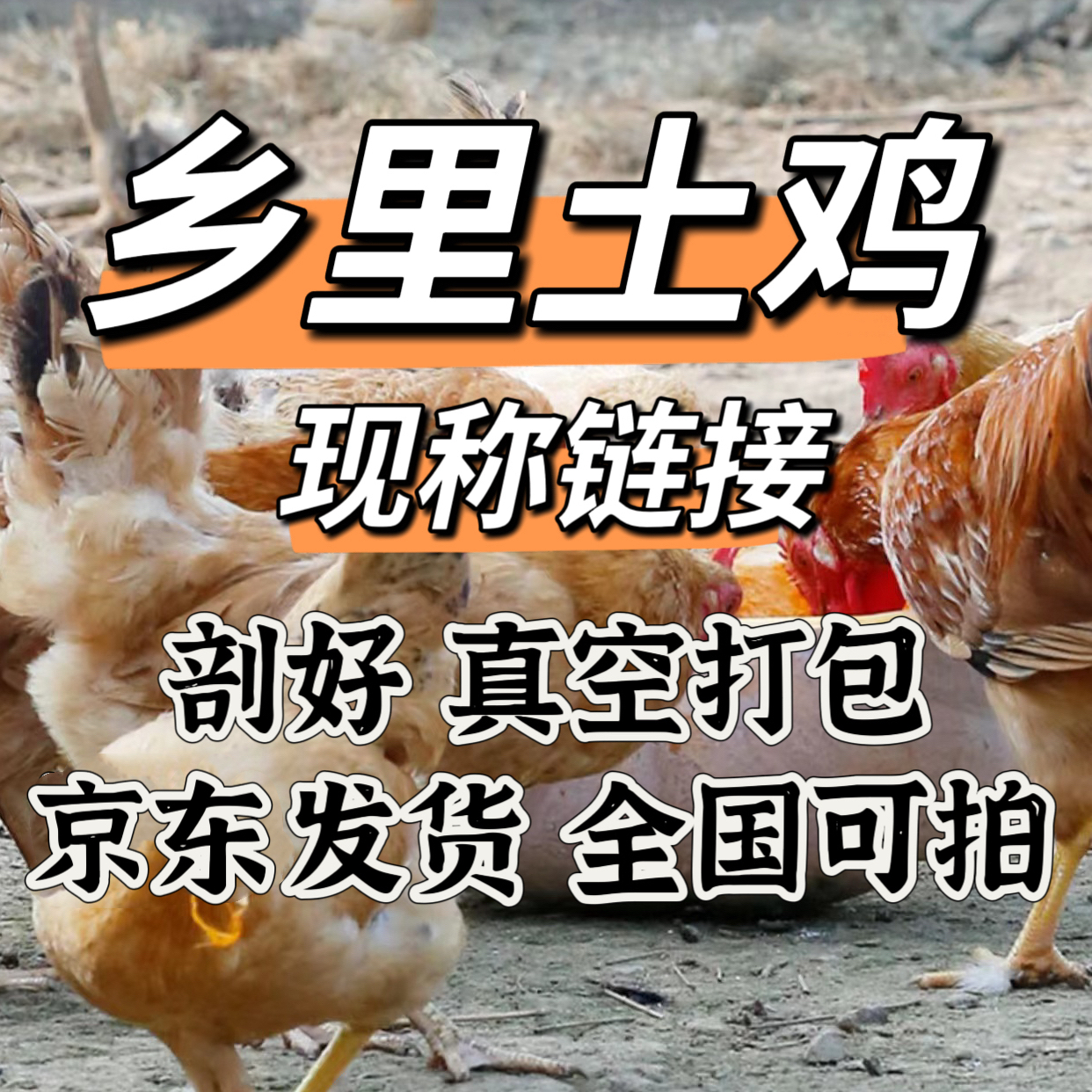 【土鸡现称链接】宰杀好真空京东冷链发货全国可拍保证正宗乡里土鸡