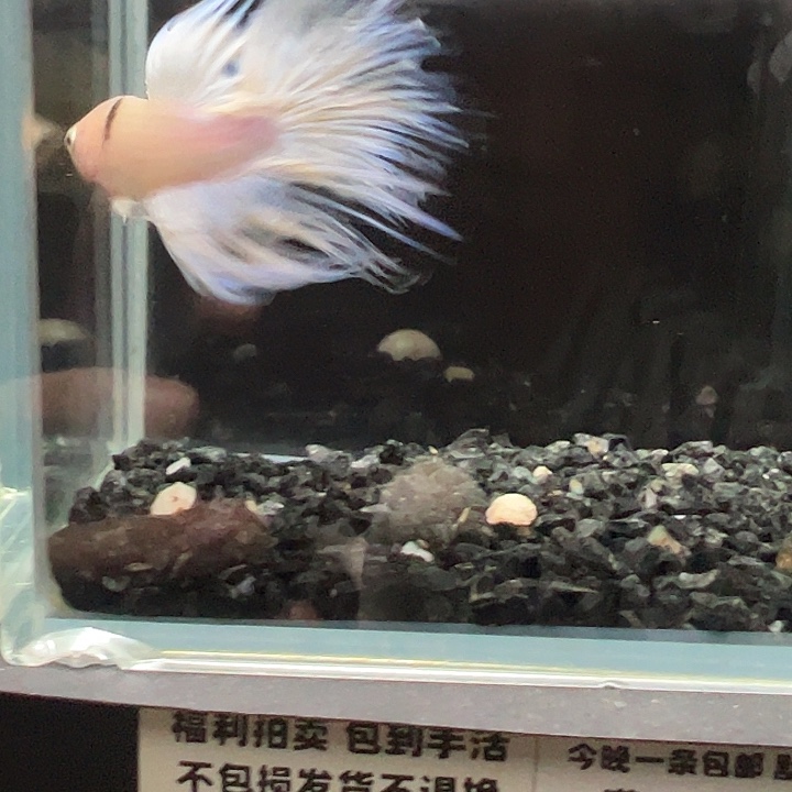 斗鱼跑单拉黑3日25