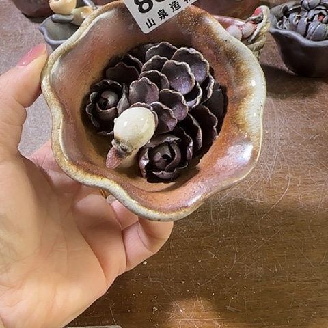 瓷片柴烧柴烧柴烧888