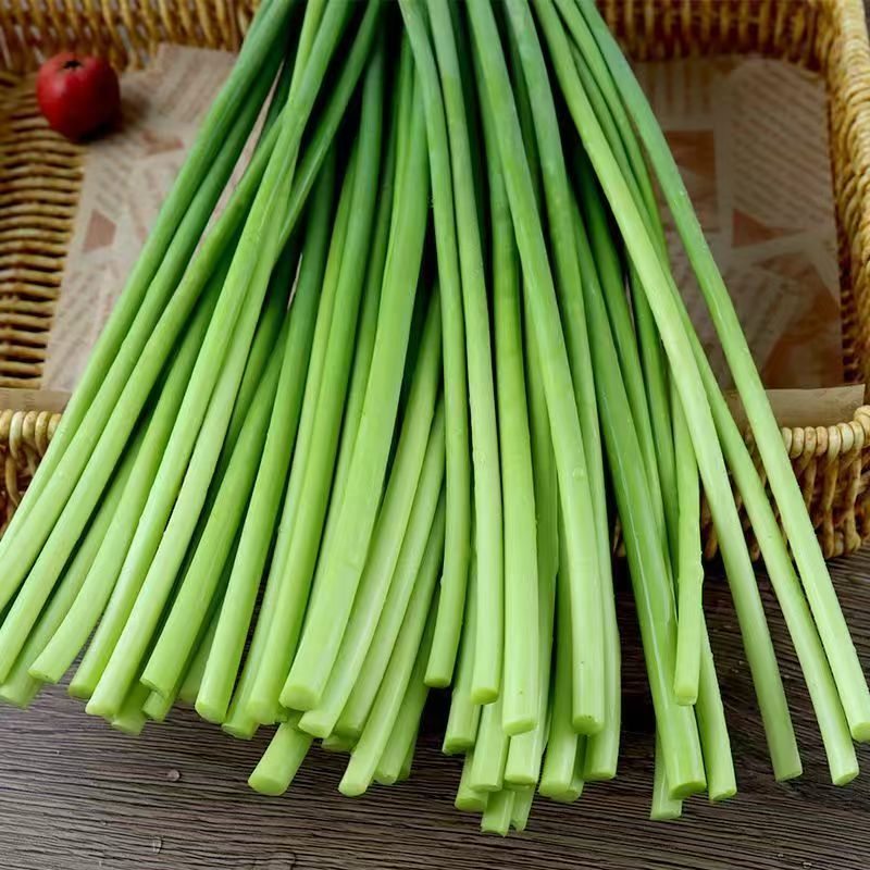 新鲜精品蒜苔批发新鲜蔬菜蒜苔正宗红帽长款新鲜采摘