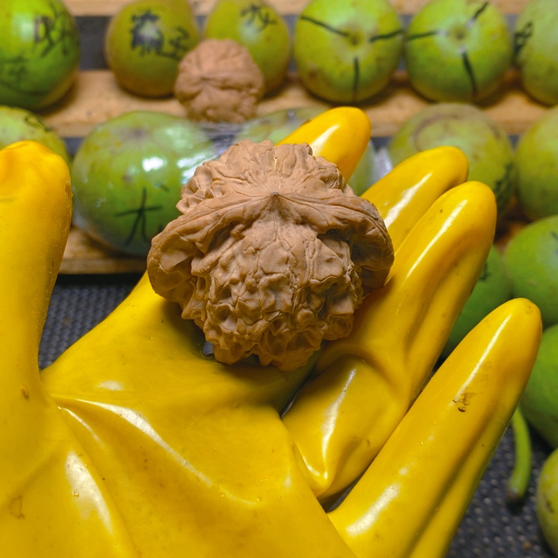 文玩核桃吊坠北****司