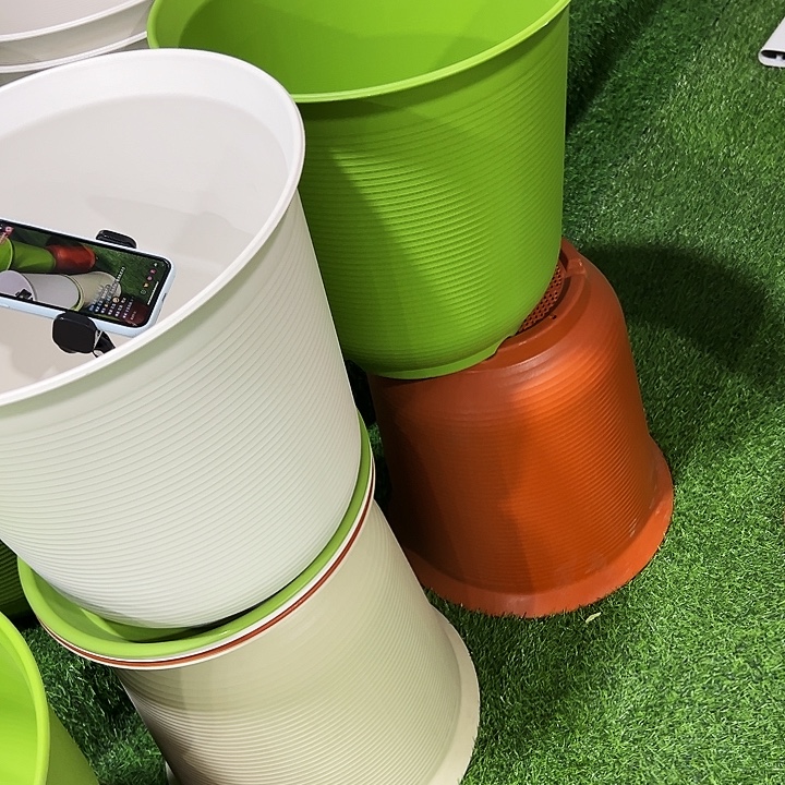 正品高陶口36高36白色6只无托