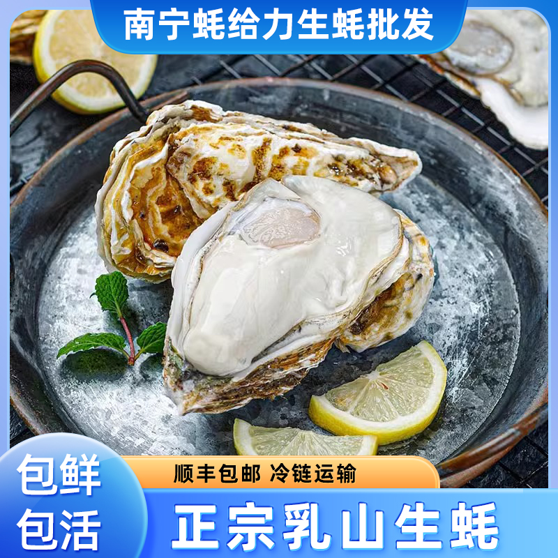 【约3两/个 买3斤送2斤 顺丰包邮】正宗乳山生蚝新鲜牡蛎海蛎子 今天拍明天到