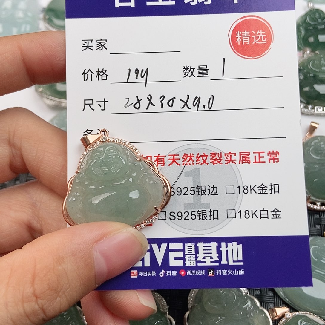 z***n翡翠银S925镶嵌颈饰