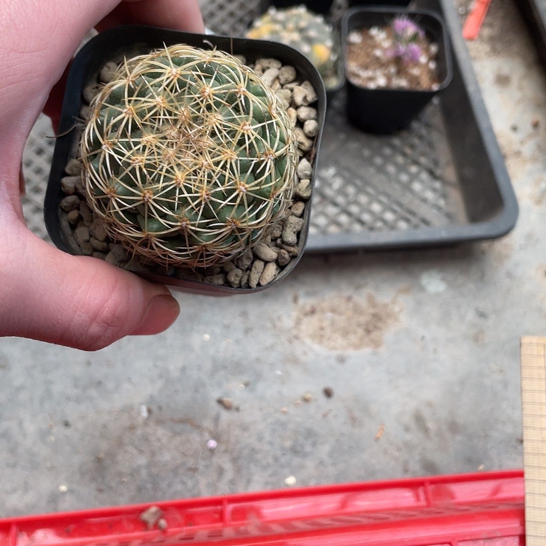 01儒衣（满18包邮）