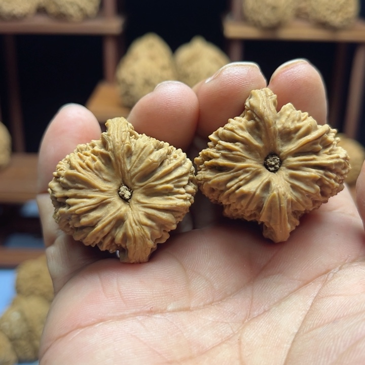 完全开放蛋*南疆石