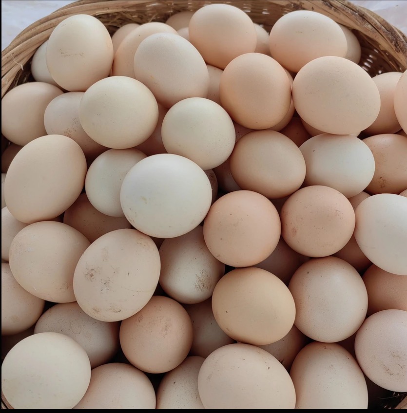  30枚土鸡蛋农家果园散养新鲜土鸡蛋