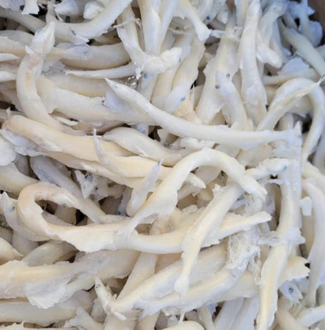 冬捕野生大银鱼（礼盒包装）年货包邮