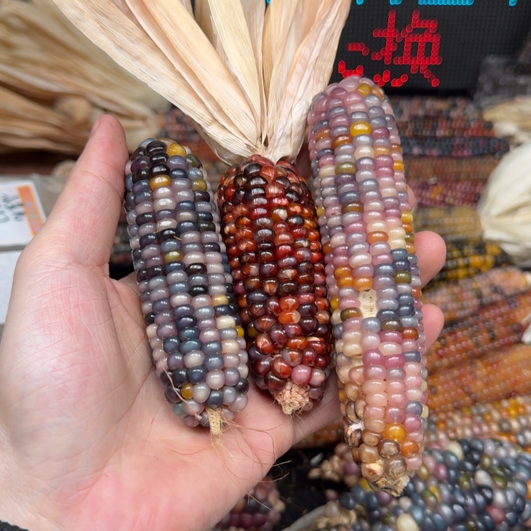 柏香籽/百香籽吊坠小****?