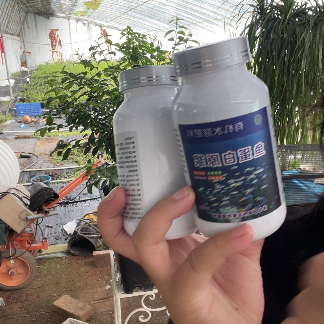 两瓶鱼蛋白送一瓶蓝莓伴侣