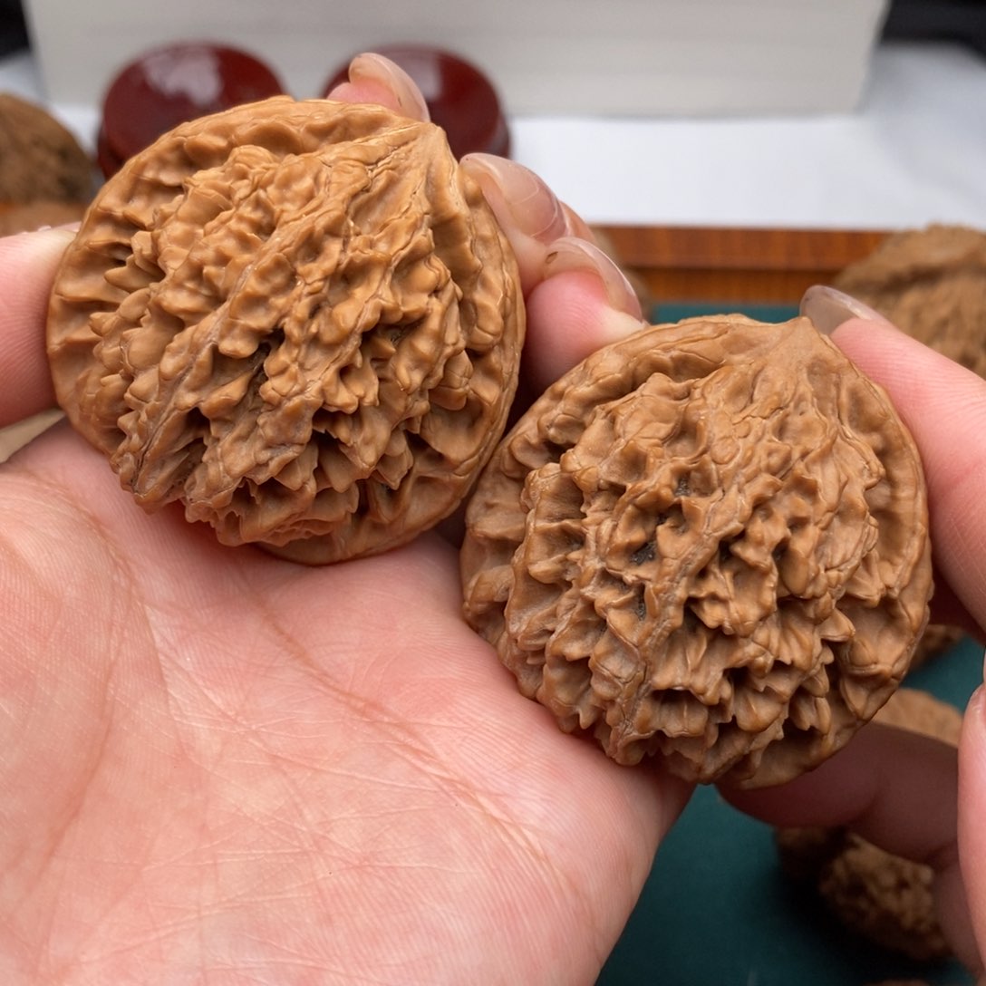 把件文玩核桃45全品剑齿虎