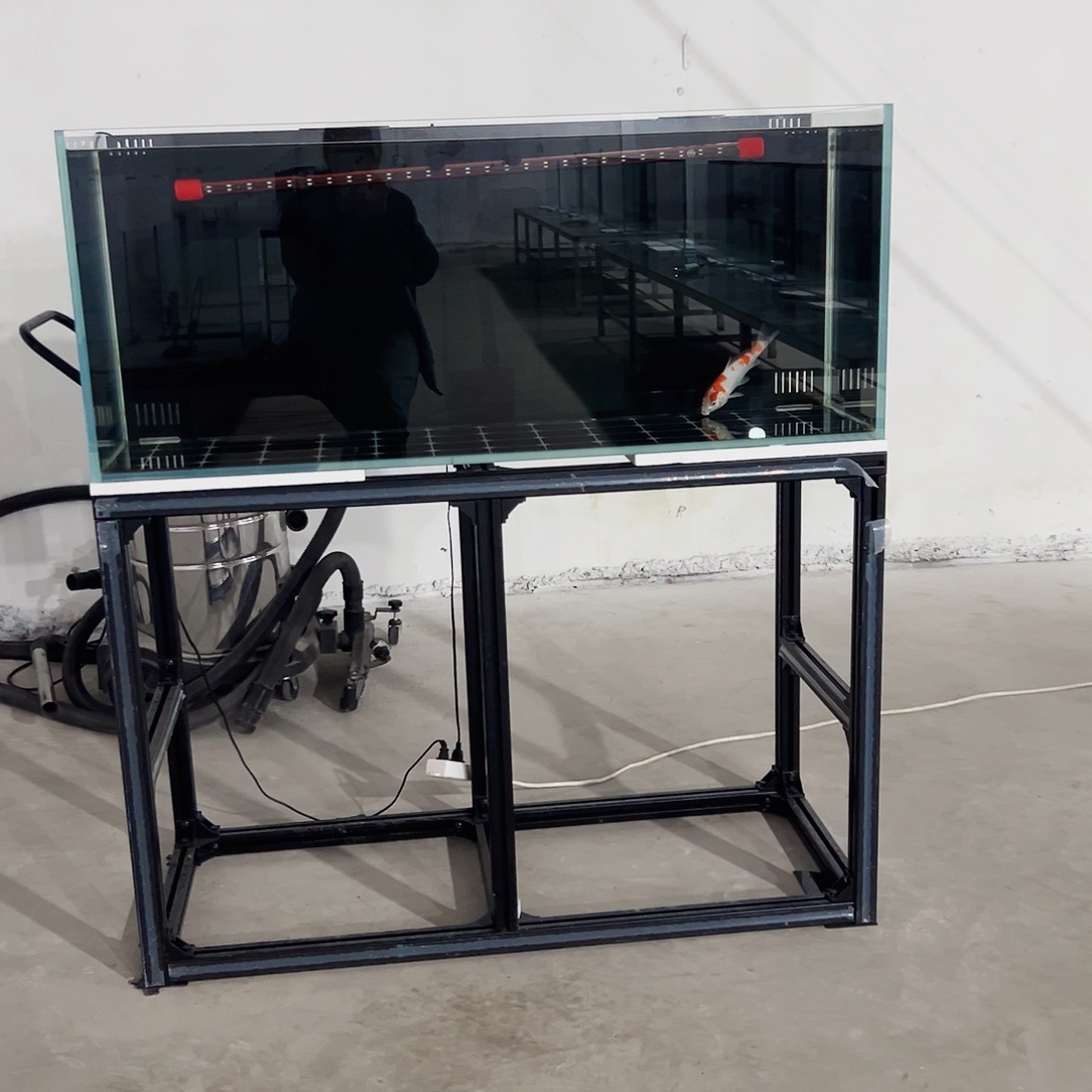 阿***轩玻璃1.25050背双鱼马桶玻璃盖全套