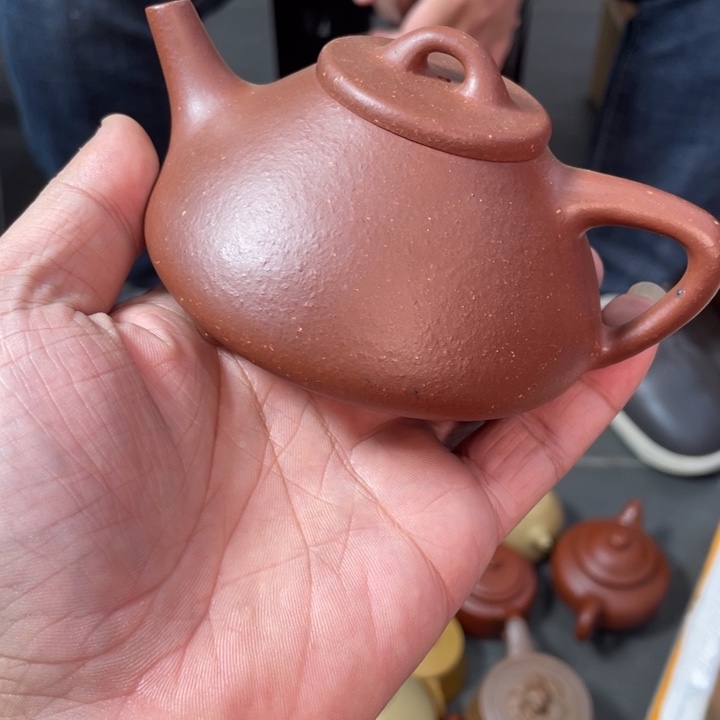 哈哈哈哈哈这个综艺节目