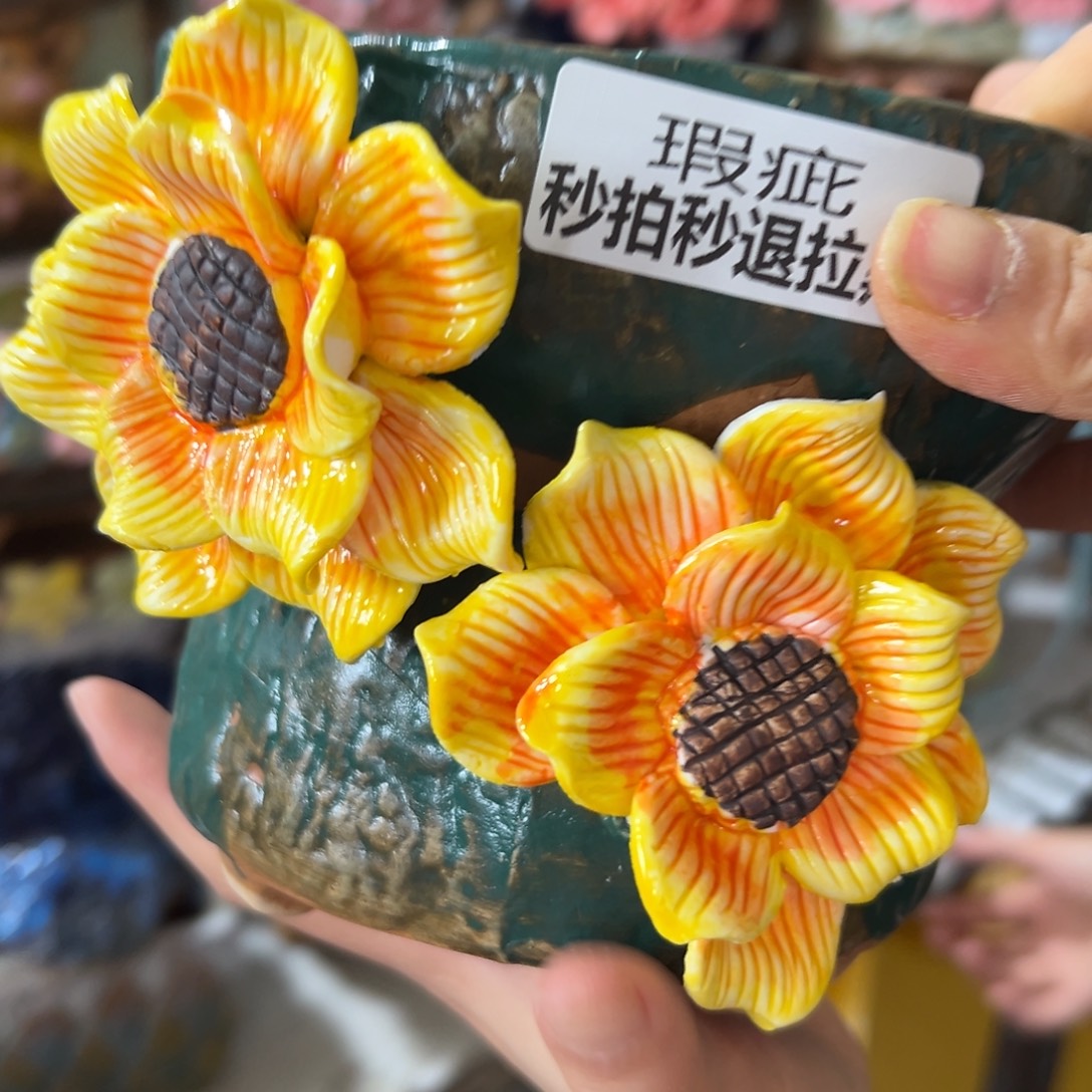 瑕疵1362 多肉花盆，满20米发货爱退款拉黑
