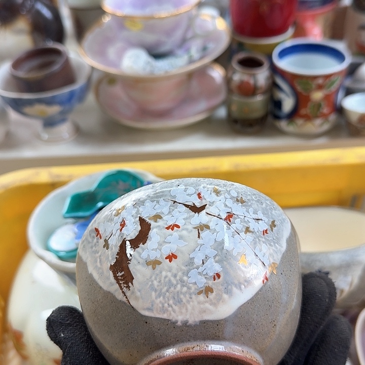 碗开播啦….开播啦