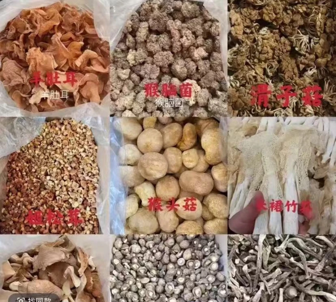 [阿龙滋补] 纯天然 非桑葚 代替链接2