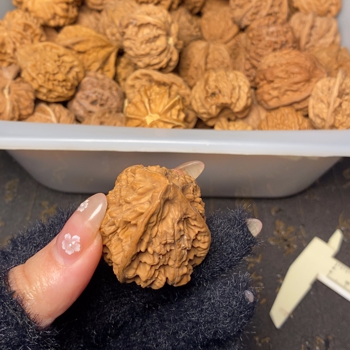 吊坠文玩核桃*️**文玩核桃异形单只