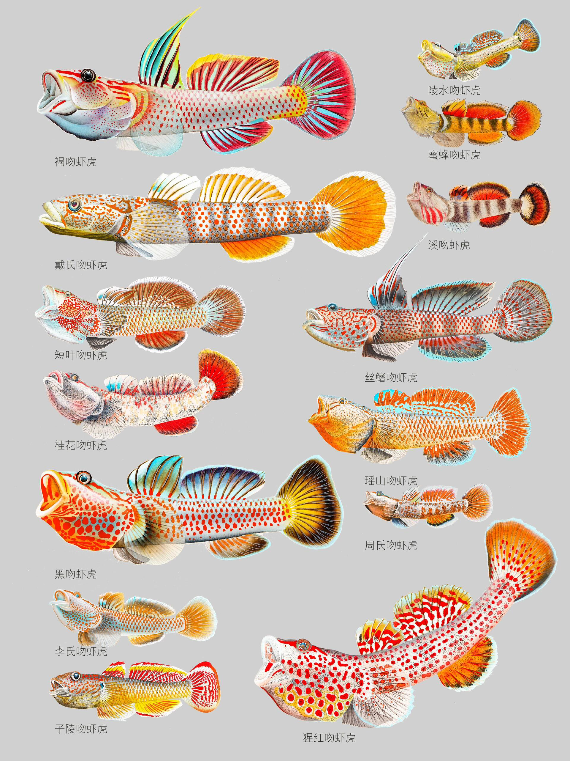 虾虎合集，装饰画挂画