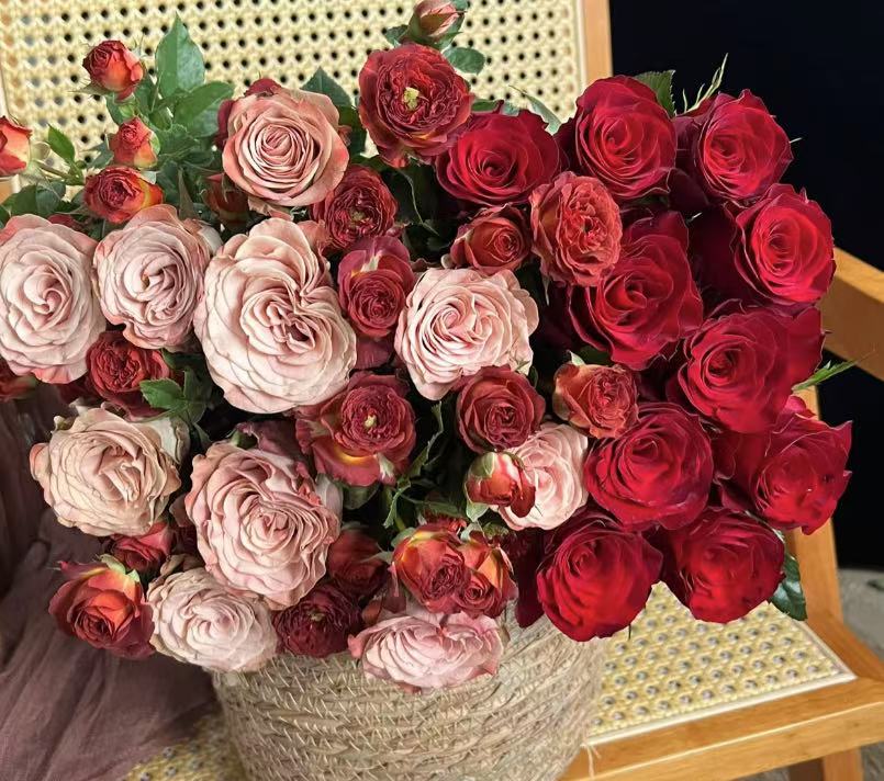 A4【高原红+卡布+戴安娜鲜花组合】一单冷链包邮 已发货不支持退款